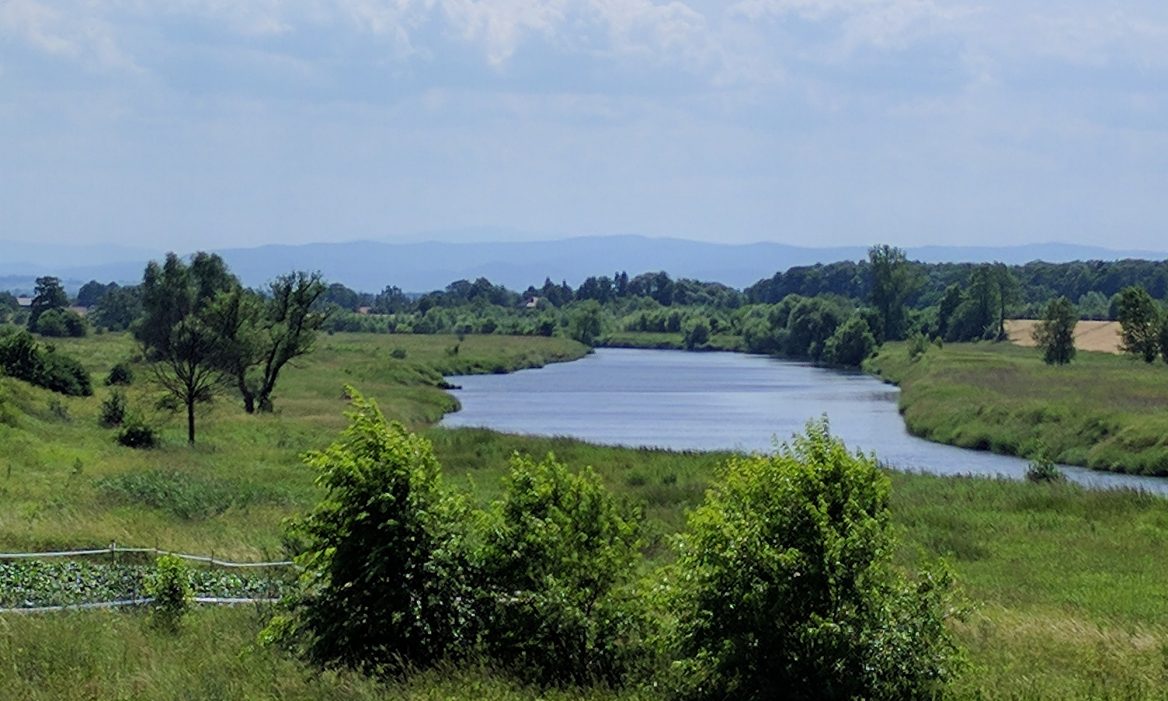 © Paweł Maliszewski 2018